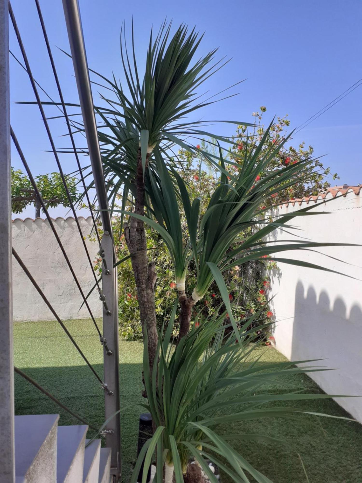 La petite maison au bord du canal T2 - 3étoiles - Frontignan Extérieur photo